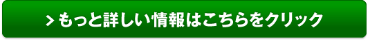 デントール重度歯周病予防歯ブラシ販売サイトへ